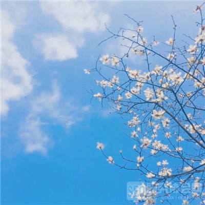 量子特工手机版(暂未上线)v1.1.2 安卓版